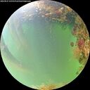 ./images/calvert/underwater/20260823/underwater20260823_143501M.jpg
