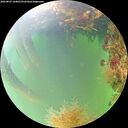 ./images/calvert/underwater/20260823/underwater20260823_144001M.jpg