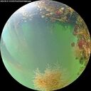./images/calvert/underwater/20260823/underwater20260823_151001M.jpg