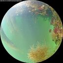 ./images/calvert/underwater/20260823/underwater20260823_153501M.jpg