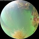 ./images/calvert/underwater/20260823/underwater20260823_154001M.jpg