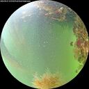 ./images/calvert/underwater/20260823/underwater20260823_155502M.jpg