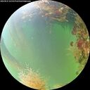 ./images/calvert/underwater/20260823/underwater20260823_161501M.jpg