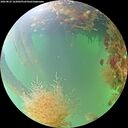 ./images/calvert/underwater/20260823/underwater20260823_163002M.jpg