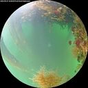 ./images/calvert/underwater/20260823/underwater20260823_164002M.jpg