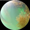 ./images/calvert/underwater/20260823/underwater20260823_164501M.jpg