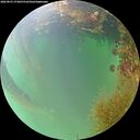 ./images/calvert/underwater/20260823/underwater20260823_173001M.jpg