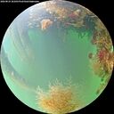 ./images/calvert/underwater/20260823/underwater20260823_181001M.jpg