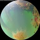 ./images/calvert/underwater/20260823/underwater20260823_182001M.jpg