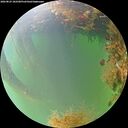 ./images/calvert/underwater/20260823/underwater20260823_182501M.jpg