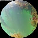 ./images/calvert/underwater/20260823/underwater20260823_184002M.jpg