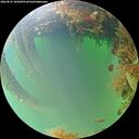 ./images/calvert/underwater/20260823/underwater20260823_185001M.jpg