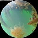 ./images/calvert/underwater/20260823/underwater20260823_185501M.jpg