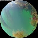 ./images/calvert/underwater/20260823/underwater20260823_191501M.jpg