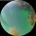 ./images/calvert/underwater/20260823/underwater20260823_193501M.jpg