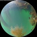 ./images/calvert/underwater/20260823/underwater20260823_194002M.jpg