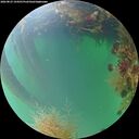./images/calvert/underwater/20260823/underwater20260823_194501M.jpg