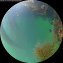 ./images/calvert/underwater/20260823/underwater20260823_195501M.jpg