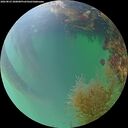 ./images/calvert/underwater/20260823/underwater20260823_200001M.jpg