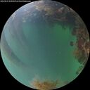 ./images/calvert/underwater/20260823/underwater20260823_203001M.jpg
