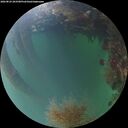 ./images/calvert/underwater/20260823/underwater20260823_203501M.jpg