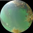 ./images/calvert/underwater/20260824/underwater20260824_070501M.jpg
