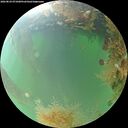 ./images/calvert/underwater/20260824/underwater20260824_071001M.jpg