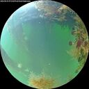 ./images/calvert/underwater/20260824/underwater20260824_071501M.jpg