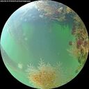 ./images/calvert/underwater/20260824/underwater20260824_072002M.jpg