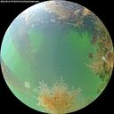 ./images/calvert/underwater/20260824/underwater20260824_073001M.jpg