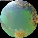 ./images/calvert/underwater/20260824/underwater20260824_075001M.jpg
