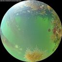 ./images/calvert/underwater/20260824/underwater20260824_080002M.jpg