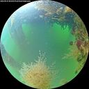 ./images/calvert/underwater/20260824/underwater20260824_081001M.jpg