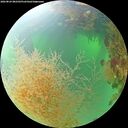 ./images/calvert/underwater/20260824/underwater20260824_082501M.jpg