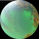 ./images/calvert/underwater/20260824/underwater20260824_085001M.jpg