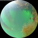 ./images/calvert/underwater/20260824/underwater20260824_085501M.jpg