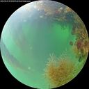 ./images/calvert/underwater/20260824/underwater20260824_091001M.jpg