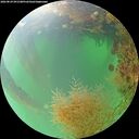 ./images/calvert/underwater/20260824/underwater20260824_091501M.jpg