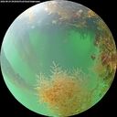 ./images/calvert/underwater/20260824/underwater20260824_092001M.jpg