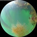 ./images/calvert/underwater/20260824/underwater20260824_092501M.jpg