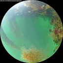 ./images/calvert/underwater/20260824/underwater20260824_093002M.jpg