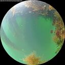 ./images/calvert/underwater/20260824/underwater20260824_095501M.jpg