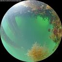 ./images/calvert/underwater/20260824/underwater20260824_100501M.jpg