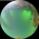 ./images/calvert/underwater/20260824/underwater20260824_101001M.jpg