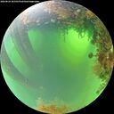 ./images/calvert/underwater/20260824/underwater20260824_101501M.jpg