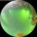 ./images/calvert/underwater/20260824/underwater20260824_102001M.jpg
