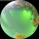./images/calvert/underwater/20260824/underwater20260824_103001M.jpg