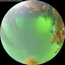 ./images/calvert/underwater/20260824/underwater20260824_104001M.jpg