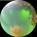 ./images/calvert/underwater/20260824/underwater20260824_104502M.jpg