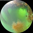./images/calvert/underwater/20260824/underwater20260824_105001M.jpg